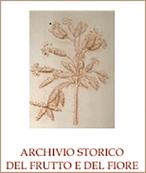 Logo Archivio storico del frutto e del fiore